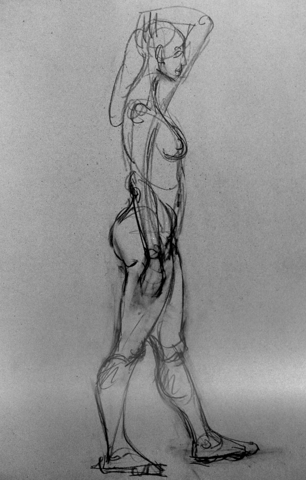 11"x16" Pencil on Paper (1960)